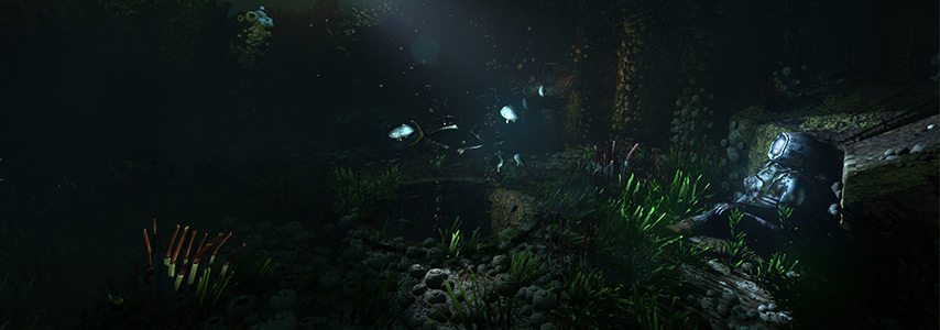 SOMA