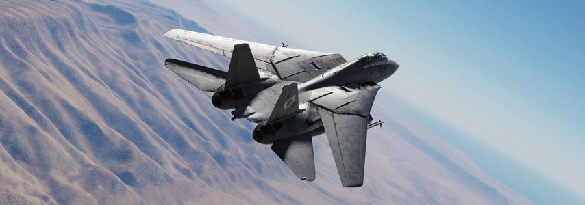 DCS World