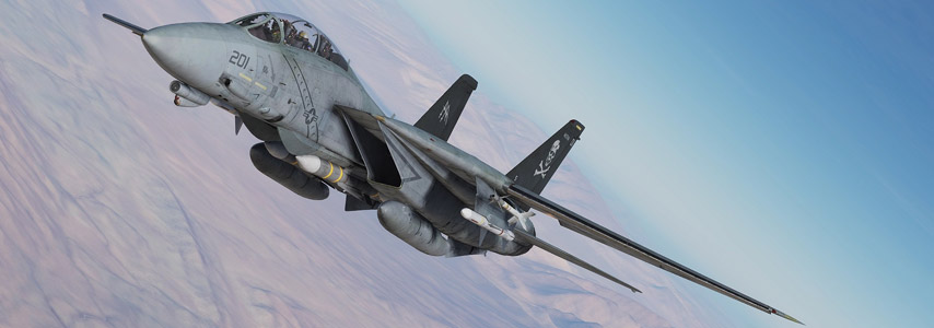 DCS World