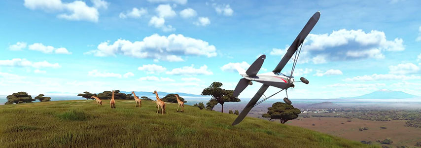 Flight Simulator