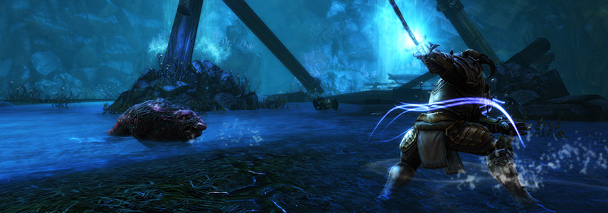 Kingdoms of Amalur