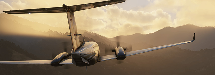 Microsoft Flight Simulator