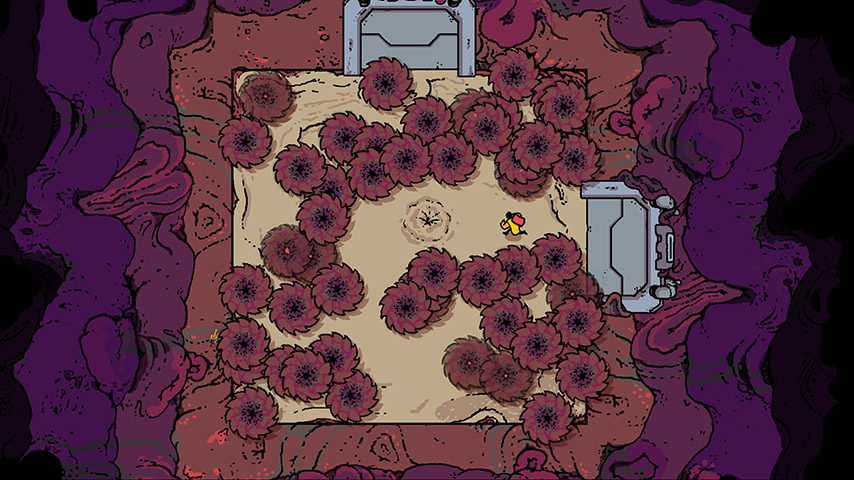 Disc Room