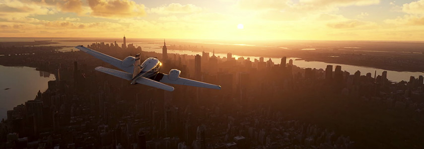 Microsoft Flight Simulator