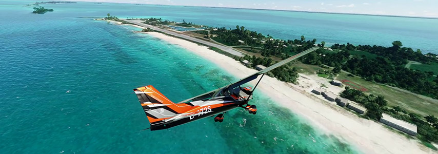 Microsoft Flight Simulator