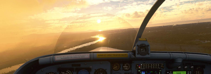 Microsoft Flight Simulator