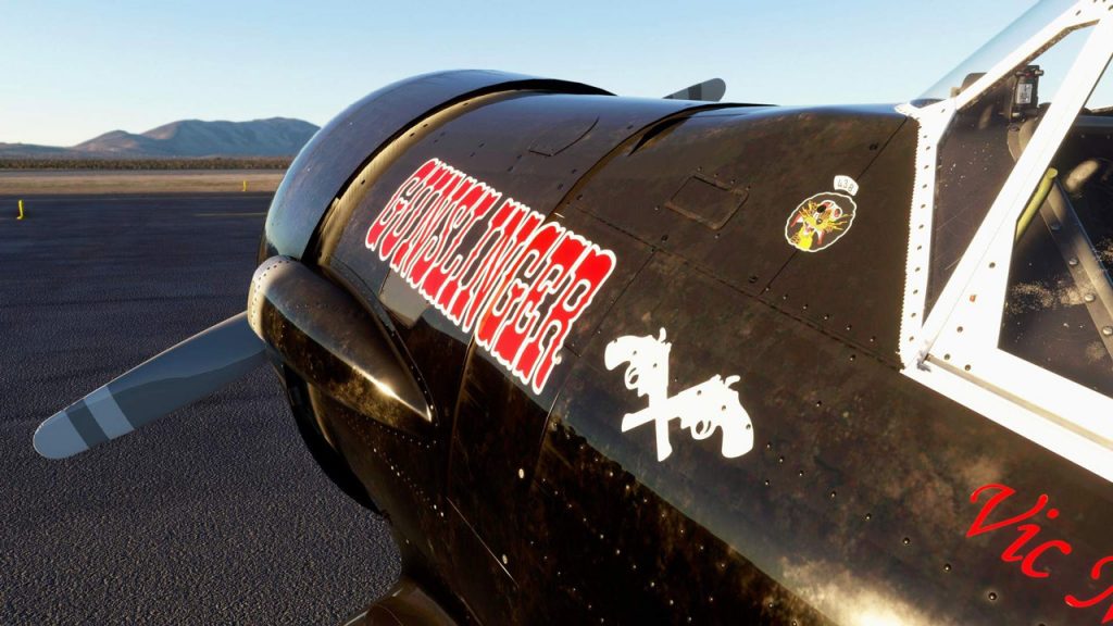 Microsoft Flight Simulator